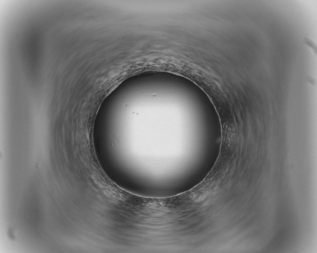 X0000096211489200801251022