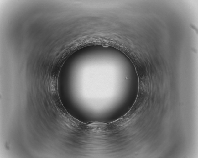 X0000096211490200801251022