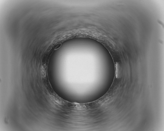 X0000096211491200801251022