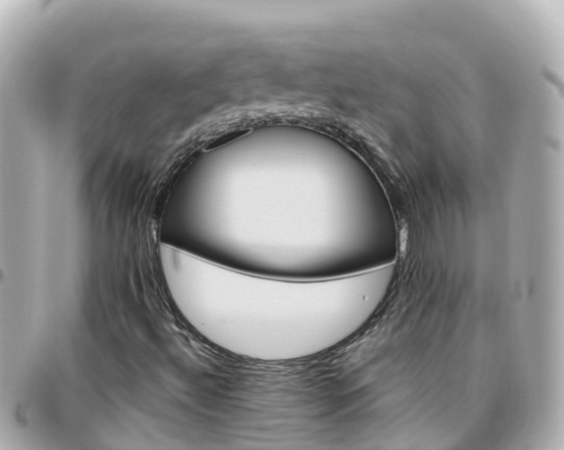 X0000096211492200801251022