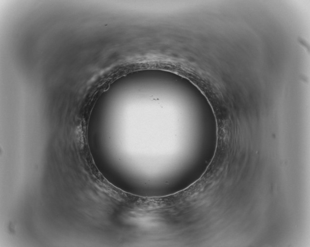 X0000096211493200801251022