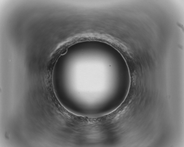 X0000096211494200801251022