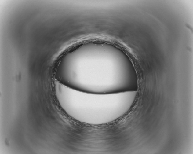 X0000096211496200801251022