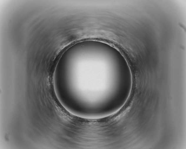 X0000096211497200801251022