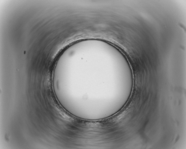 X0000096211498200801251022