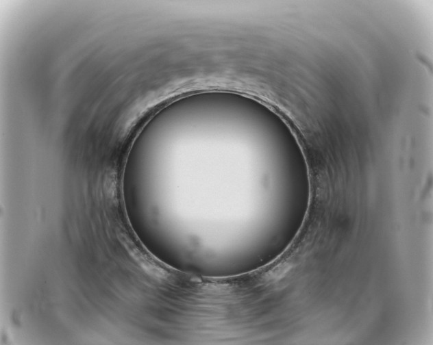 X0000096211499200801251022