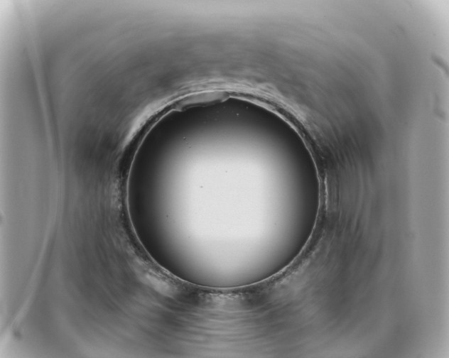 X0000096211501200801251023