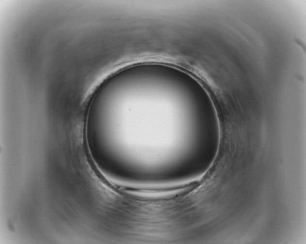 X0000096211504200801251023