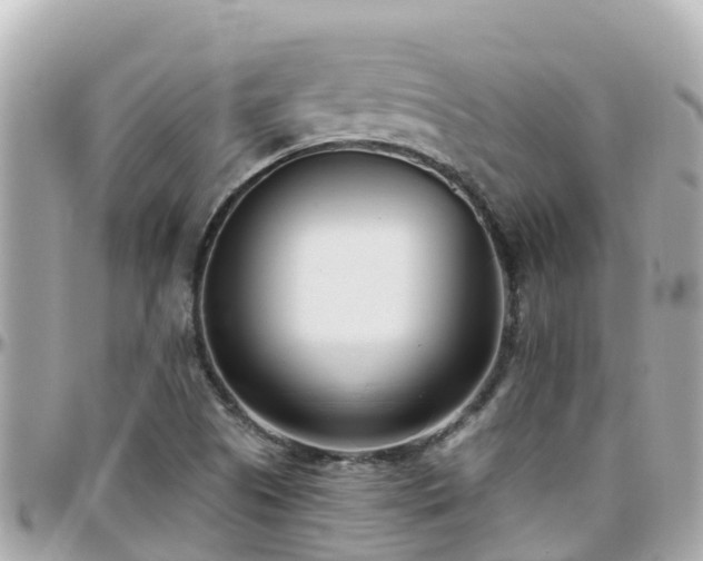 X0000096211505200801251023