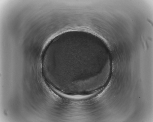 X0000096211506200801251023