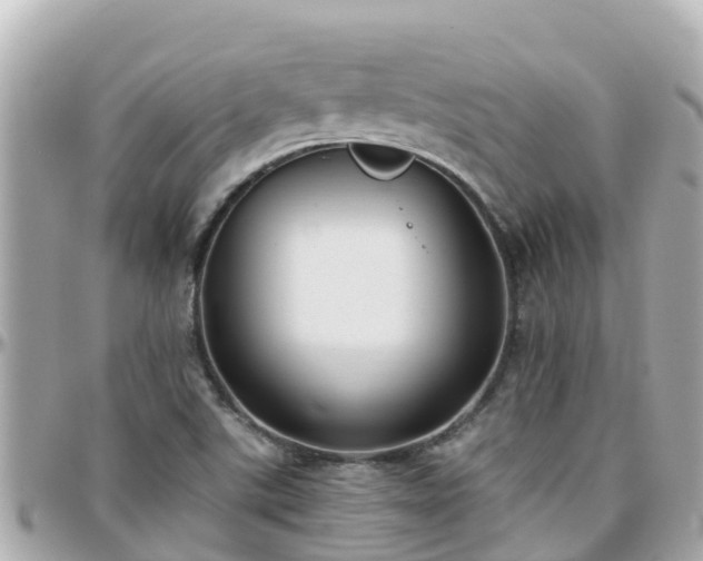 X0000096211507200801251023