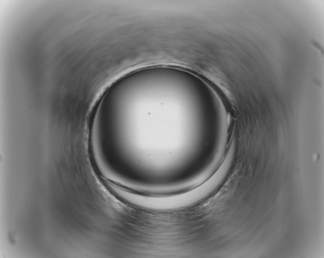 X0000096211508200801251023