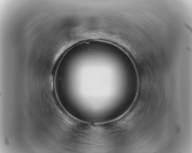 X0000096211509200801251023