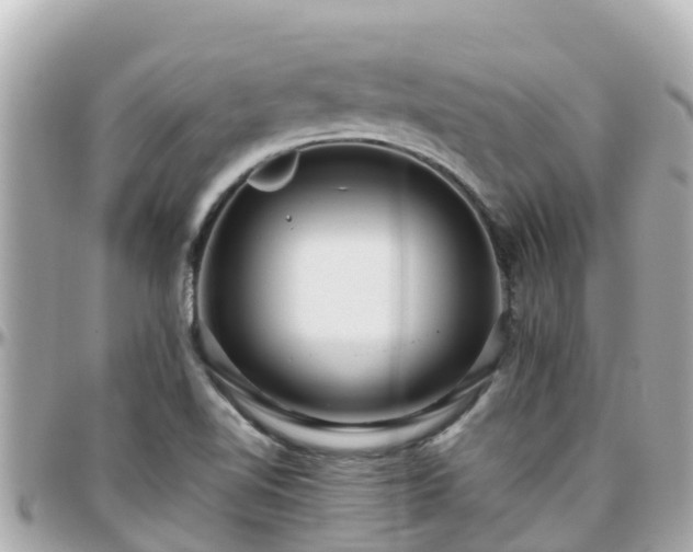 X0000096211510200801251023