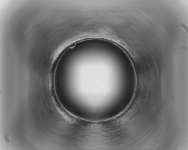 X0000096211511200801251023