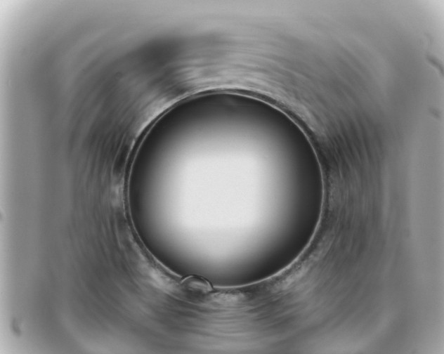 X0000096211513200801251023