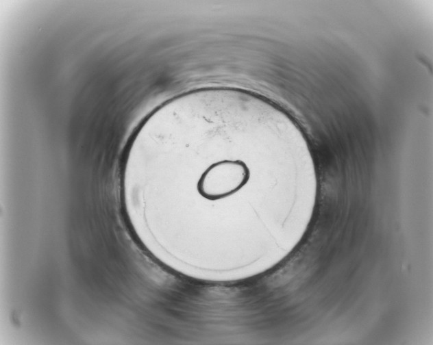 X0000096211514200801251023