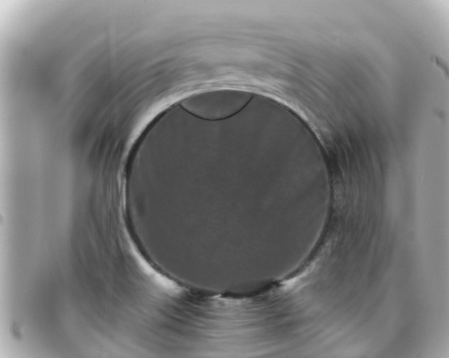 X0000096211515200801251023