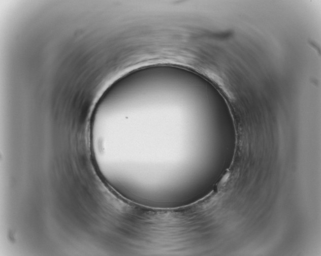 X0000096211516200801251023