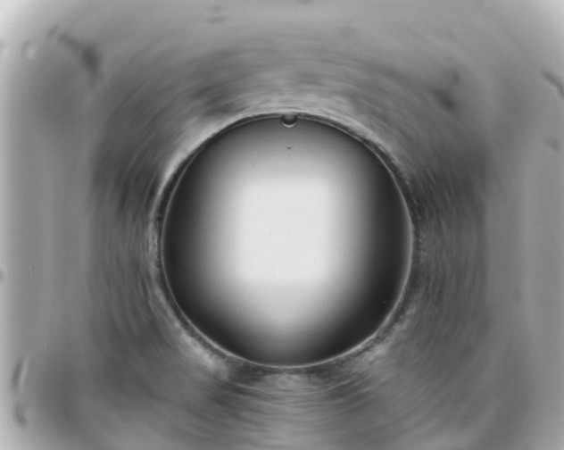 X0000096211517200801251023