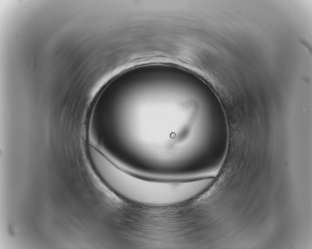 X0000096211518200801251023