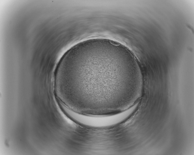 X0000096211519200801251023