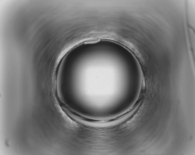 X0000096211520200801251023