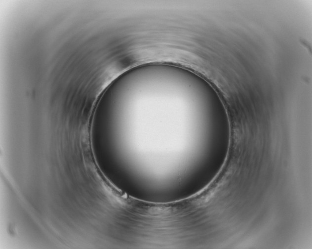 X0000096211521200801251023