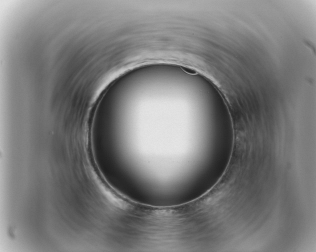 X0000096211523200801251023