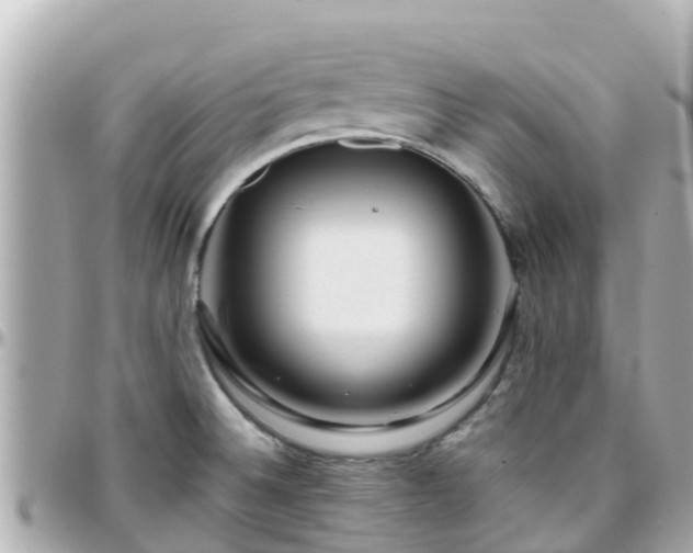 X0000096211524200801251023