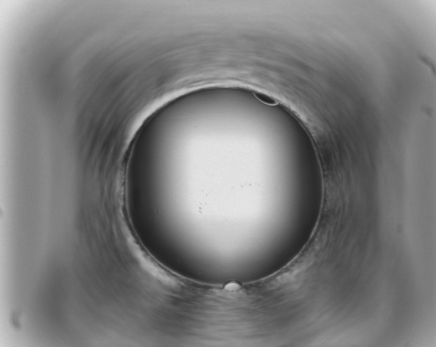 X0000096211526200801251023