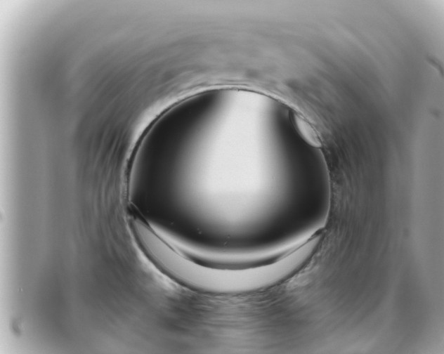 X0000096211527200801251023