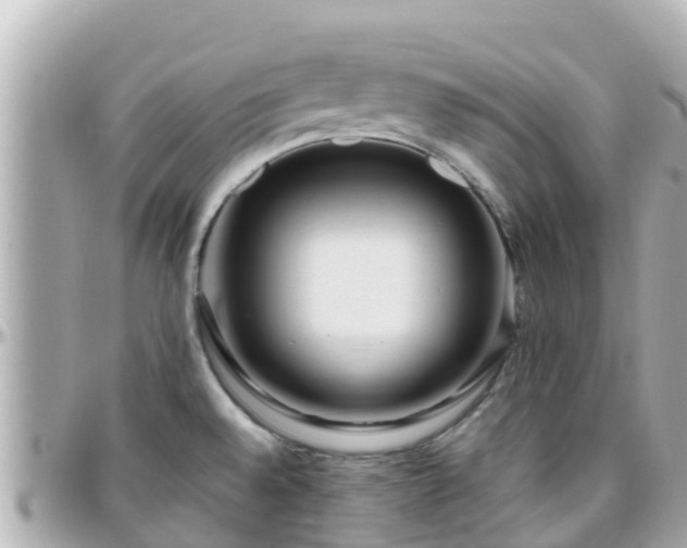 X0000096211528200801251023