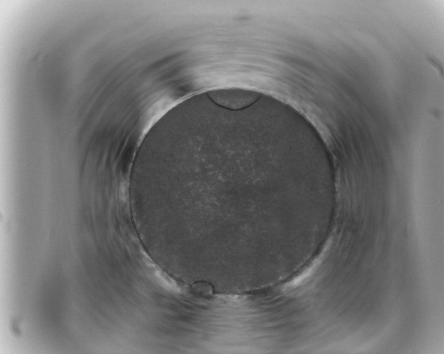 X0000096211529200801251023