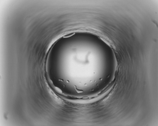 X0000096211530200801251023