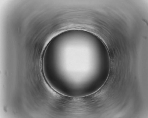 X0000096211531200801251023