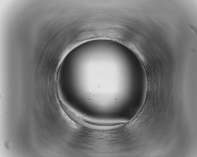 X0000096211532200801251023