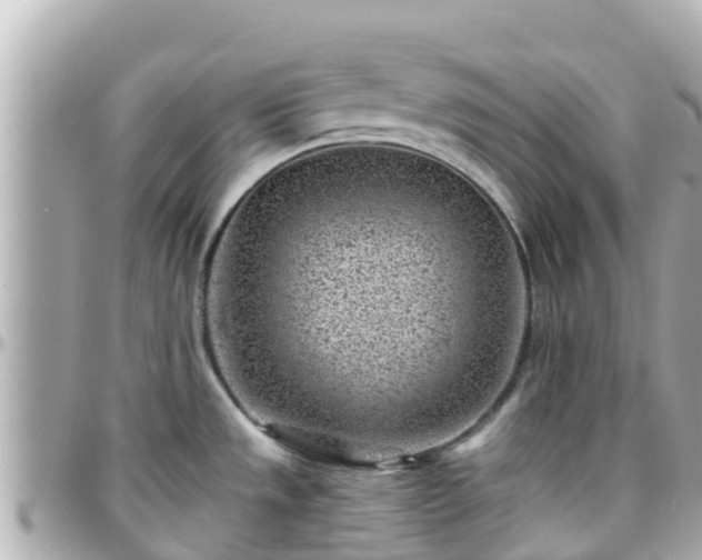 X0000096211533200801251023