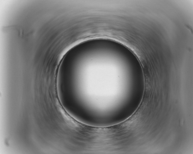 X0000096211534200801251023