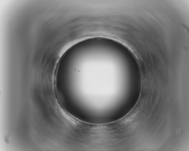 X0000096211535200801251023