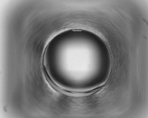 X0000096211536200801251023