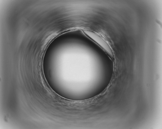 X0000096210001200802011331