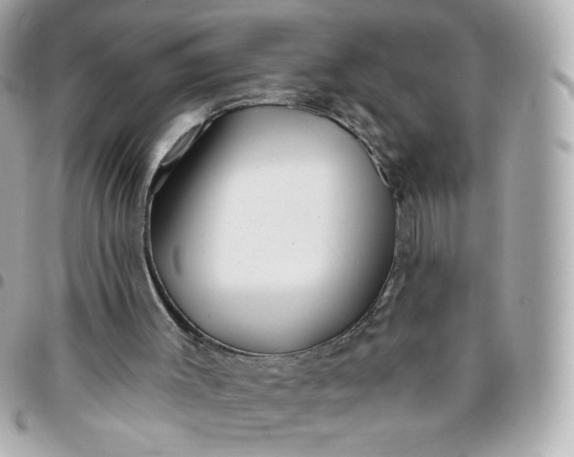 X0000096210003200802011331