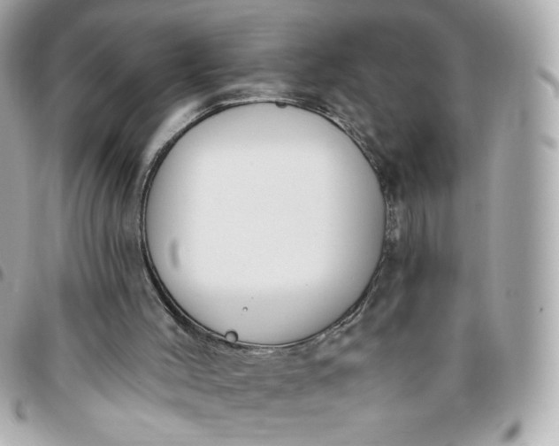 X0000096210004200802011331