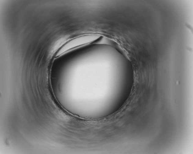 X0000096210005200802011331