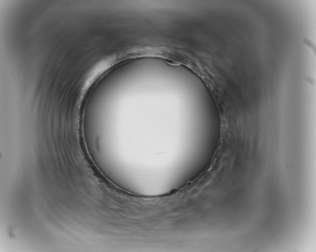 X0000096210006200802011331