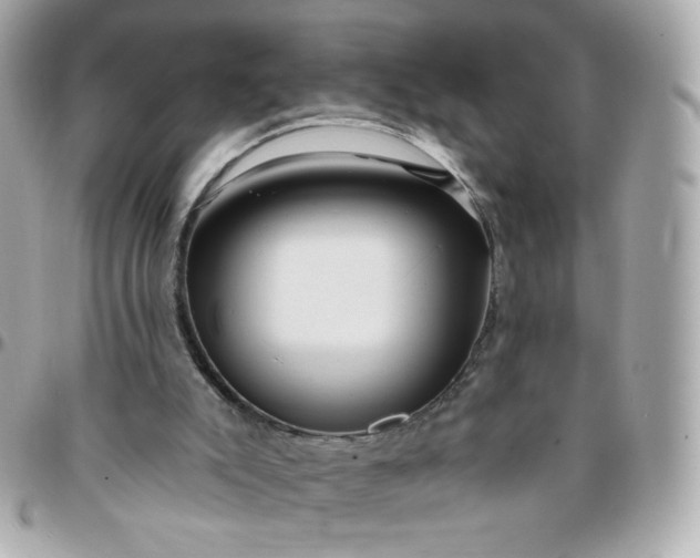 X0000096210007200802011331