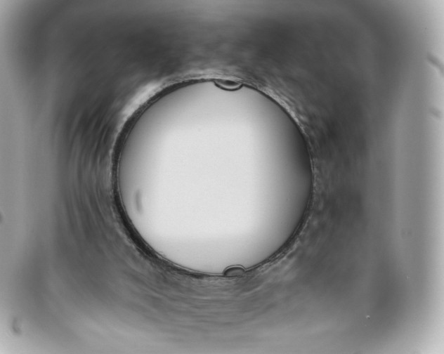 X0000096210008200802011331