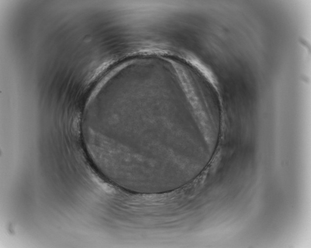 X0000096210009200802011331