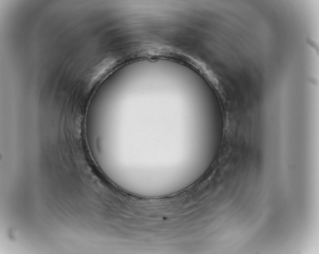 X0000096210010200802011331